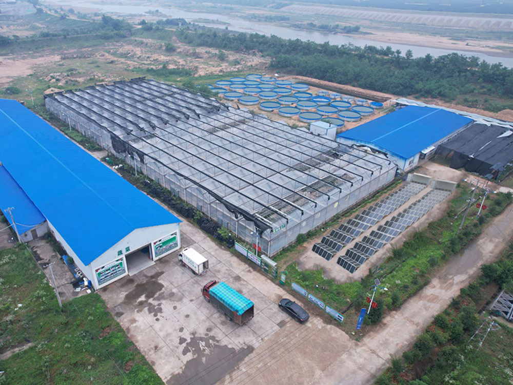 Solar Power Containers for Catu daya yang disediakan sendiri